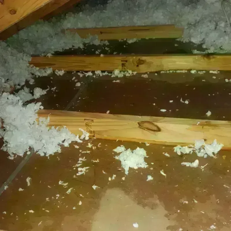 Attic Water Damage in Mellette County, SD