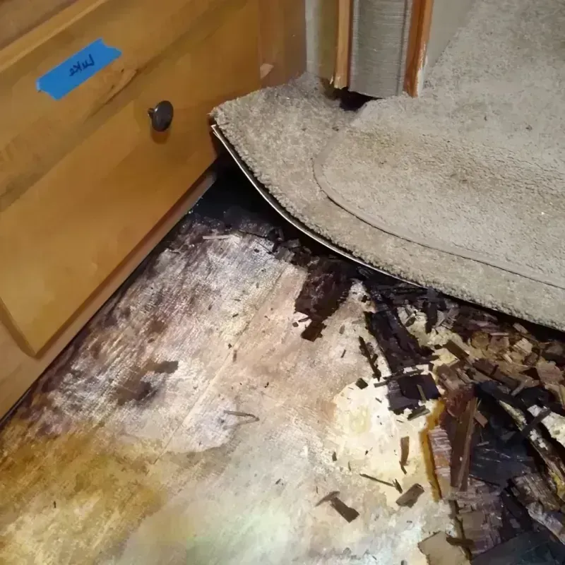 Best Wood Floor Water Damage Service in Mellette County, SD